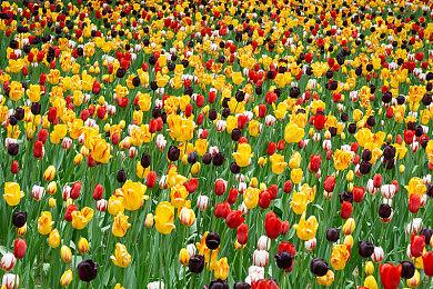 游戏科学在集中力量 努力开发《黑神话》DLC