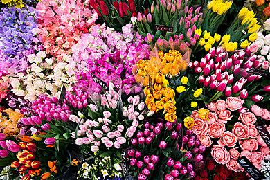 云顶之弈S8.5危机选秀装备有哪些？危机选秀各阶段奖励一览